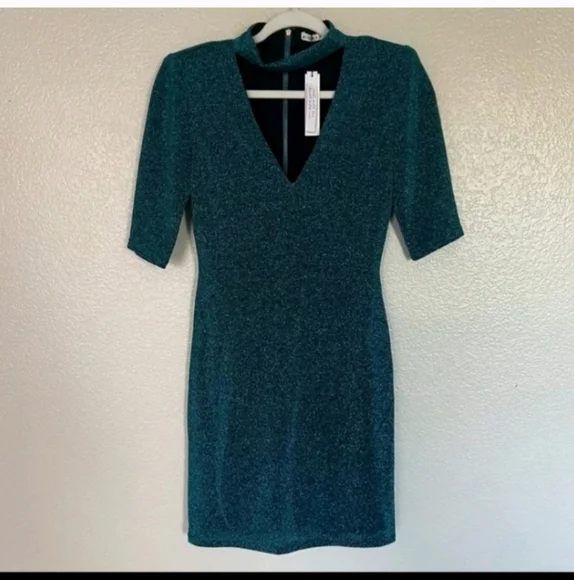 Alice + Olivia Inka Mini Dress SIZE 6 NWT - Picture 11 of 14